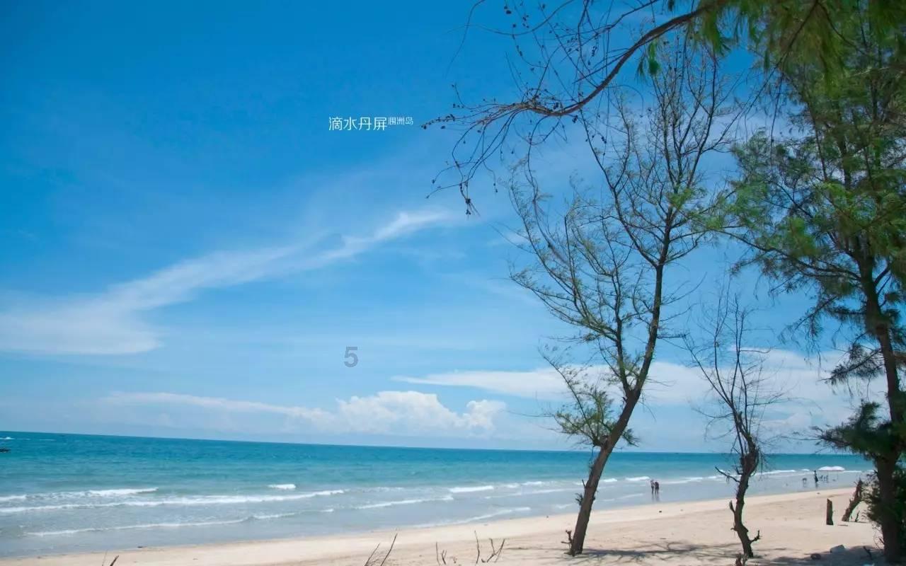 河南宝丰:汝瓷生肖龙独具匠心